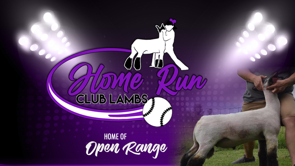 Home Run Club Lambs