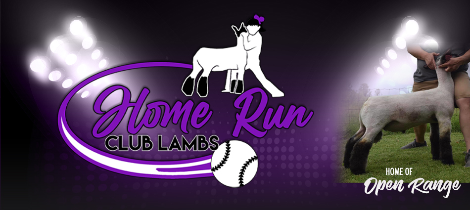 Home Run Club Lambs