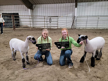 Home Run Club Lambs Winners